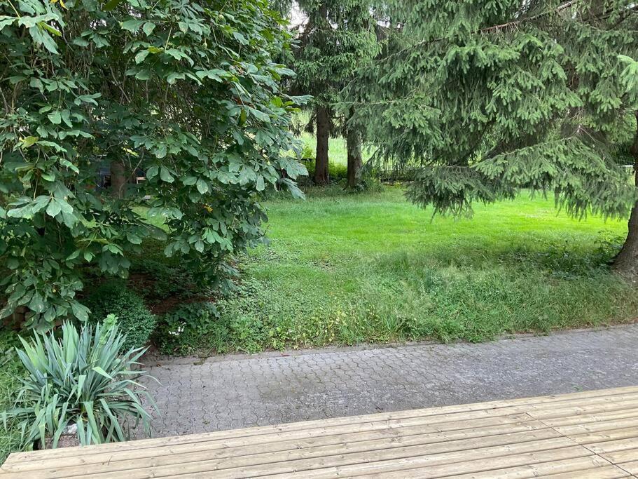 Wohnung In Idyllischem Oertchen Meschede Kültér fotó